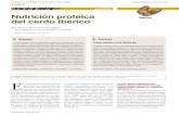 Nutrición proteica del cerdo Ibéricoraza Landrace (Rivera-Ferre et al., 2006). No sólo hemos tratado de constatar la baja capacidad genética del cerdo Ibérico para la deposición