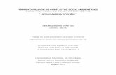 TRANSFORMACIÓN DE CONFLICTOS SOCIO AMBIENTALES COMO PROPUESTA DE CONSTRUCCIÓN DE … · 2011-09-22 · análisis de la propuesta metodológica para la transformación del conflicto