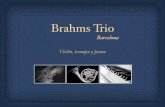 Brahms Trioúltimo graba asimismo obras para Trompa y Piano, culminando la mutua colaboración con un concierto benéﬁco de Beethoven, Strauss y Schumann, destinado a la reconstrucción