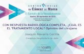 Complejo Hospitalario de Jaén - GEICAM...Tumores T2 mayores de 3 cm por examen clínico, o T3, con o sin afectación ganglionar (N2- 3 excluidos ). Esquemas de QT: 3x Epirrubicina
