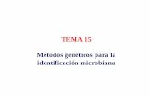TEMA 15 Métodos genéticos para la identificación microbiana · 2.1. Marcado de la sonda Inicialmente con sustancias radiactivas32P o 35S Actualmente sustancias no radiactivas •