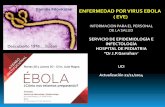 Familia Filoviridae ENFERMEDAD POR VIRUS EBOLA ( EVE)EPIDEMIOLOGIA >20 brotes previos de Ébola Actual: mayor epidemia registrada de la historia Países afectados: Guinea , Liberia,