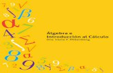 Álgebra e Introducción al Cálculo¡lculo.pdfÁlgebra e Introducción al Cálculo Dra. Irene F. Mikenberg Facultad de Matemáticas Pontiﬁcia Universidad Católica de Chile 2 de