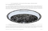 EL PLANISFERIO, CATÁLOGOS ESTELARES Y …2000.00 (este último ideal para observaciones con telescopio) aparecen dibujados los márgenes y dimensiones de los objetos de cielo profundo