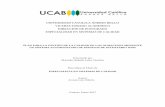 UNIVERSIDAD CATOLICA ÁNDRES BELLO VICERECTORADO …biblioteca2.ucab.edu.ve/anexos/biblioteca/marc/texto/AAT4698.pdf · correspondientes a las Buenas Prácticas Manufactura y BPD,