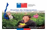 Región de Valparaíso - Oficina de Estudios y Políticas Agrarias · 2019-04-30 · 9% 29% 80% Para la búsqueda de series de datos más extensas consulta nuestra página web Se