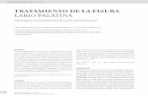 TRATAMIENTO DE LA FISURA LABIO PALATINA · 2012-11-20 · Fisura labio palatinas aislada 64% 60 40 Fisuras raras 1% 55 45 ETIOLOGÍA Clínicamente se puede presentar esta malformación
