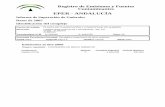 EPER - ANDALUCÍA · 2018-04-24 · Registro de Emisiones y Fuentes Contaminantes EPER - ANDALUCÍA Informe de Superación de Umbrales Datos de 2005 Identificación del complejo Centro