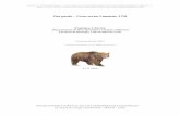 Oso pardo – Ursus arctos Linnaeus, 1758digital.csic.es/bitstream/10261/112114/8/ursarc_v3.pdfCabrera (1914) admite como válida la subespecie Ursus arctos pyrenaicus Fischer, 1829