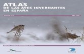 DE LAS AVES INVERNANTES EN ESPAÑA 2 Atlas aves invernantes.pdf · rriendo distintos puntos de nuestra cuadrícula y distintos hábitats. Este pequeño esfuerzo adicional es de enorme