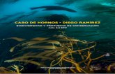 CABO DE HORNOS - DIEGO RAMÍREZ...6 INTRODUCCIÓN Los archipiélagos de Cabo de Hornos y de Diego Ramírez en la Patagonia Chilena representan el punto más meridional de América