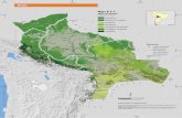 estado - Fundación amigos de la naturaleza – FANfan-bo.org/wp-content//files/E-2_Bosque.pdfos bosques en Tierras Bajas y Yungas de Bolivia, ocupan cerca de 46,8 millones de hectáreas,