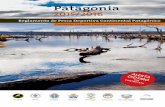 Patagonia - neuquentur.gob.arneuquentur.gob.ar/lab/wp-content/uploads/2015/10/REGLAMENTO-PESCA-PDF... · A.A.P.M Chubut NeuquénR io NegroS anta CruzT ierra del Fuego Patagonia 2015/2016