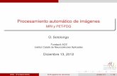 MRI y PET-FDG O. Sotolongo - Fundació ACEdetritus.fundacioace.com/files/presentacion.pdf · Procesamiento automático de imágenes MRI y PET-FDG O. Sotolongo Fundació ACE Institut