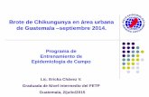 Brote de Chikungunya en área urbana de Guatemala ...comisca.net/sites/default/files/Brote ChikV Guatemala...Antecedentes La Fiebre Chikungunya constituye un problema de Salud Pública