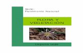 FLORA Y VEGETACIÓN - Centro de Estudios … flora...La flora andina La flora de Laguna Lejía y sus alrededores está representada por 29 especies de plantas, un número reducido