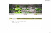 Hivernacles Sistema de reg Plagues i malalties de …...10/03/2017 2 Els hivernacles – Projete de l’hort El fred i la necessitat de protegir les plantes del fred, poden ser un