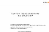 SECTOR HIDROCARBUROS EN COLOMBIA - IMF · 2014-05-28 · 17 . Gas . Las reservas totales de gas a 31 de diciembre de 2012 fueron 7.0 TPC. Reservas/Producción (R/P) de . 16,6 años.
