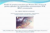 Estudio de proteínas musculares por Western blot y técnicas de … · 2013-07-11 · Relación entre la secuencia de nucleótidos del ADN y la secuencia de aminoácidos de la proteína