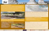 Programa Bosques Mexicanos SIERRA TARAHUMARAawsassets.panda.org/downloads/06_sierratarahumara_poster.pdf · • Falta de integración de las comunidades a los procesos de planeación