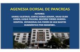 AGENESIA DORSAL DE PANCREAS · 2019-02-19 · agenesia dorsal de pancreas autores: danieli gustavo, cortez borja soraya, haad olier karen, luque paulina, beltrÁn torres sandra. hospital