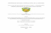 UNIVERSIDAD NACIONAL INTERCULTURAL DE LA AMAZONIArepositorio.unia.edu.pe/bitstream/unia/93/1/Tesis Final.pdf · El trabajo de investigación se realizó con la finalidad de describir