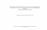 Evaluación del efecto de seis tratamientos térmicos en la ... · iii Evaluación del efecto de seis tratamientos térmicos en la germinación de la albahaca dulce (Ocimum basilicum)
