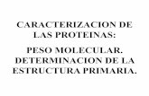 CARACTERIZACION DE LAS PROTEINAS: PESO MOLECULAR ... · de subunidad: Determinacion por SDS-PAGE. ... PESOS MOLECULARES DE PROTEINAS Y EN LA SECUENCIACION DE PEPTIDOS. Espectrometría