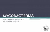 MYCOBACTERIAS - Ingreso Medicina UBA...Desde un pte con TB pulmonar contagiosa Pacientes que influyen en la propagación: •BAAR en esputo visibles al microscopio (bacilíferos) esputos