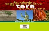 Conociendo la Cadena Productiva de Tara en Ayacucho · 2011-10-10 · La demanda mundial de taninos vegetales y gomas naturales, se ha incrementado de ma-nera significativa. En el