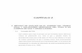 CAPÍTULO 2 COMPLETO · 2018-04-04 · CAPÍTULO 2 2. MÉTODO DE ANÁLISIS EN EL DOMINIO DEL TIEMPO (TDA) Y SOLUCIONES DERIVADAS DEL POZO N EN CAMPOS DE GAS Y CRUDO LIVIANO. 2.1.