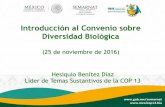 Introducción al Convenio sobre Diversidad Biológica · 3.Diversidad Biológica Forestal 4.Diversidad Biológica Agrícola 5.Diversidad Biológica de Tierras Áridas y Subhúmedas