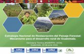 Estrategia Nacional de Restauración del Paisaje Forestal: … · 2015-06-11 · La ENRPF define que la “Restauración del paisaje forestal es el proceso orientado a recuperar,