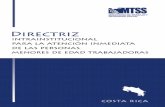 Con el apoyo del Proyecto Subregional Oficina Prevención y ...white.lim.ilo.org/ipec/documentos/directriz_intra_costa_rica_2008.pdf · Toda oficina administrativa a la que acudan
