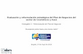 Evaluación y reformulación estratégica del Plan de Negocios del … · 2019-05-30 · Reformulación del Plan de Negocios. Misión, visión y objetivos Hitos clave de la Misión