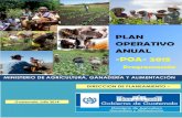-POA- 2015 2015 ACTUALIZADO.pdf · 2018-12-14 · PLAN OPERATIVO ANUAL INSTITUCIONAL Ambos Programas consideran el cumplimiento de los ejes temáticos de la Política Agropecuaria