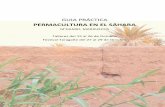 PERMACULTURA EN EL SÁHARA - Moradas de Tierra...Guía práctica Permacultura en el Sáhara Oasis de M´Hamid, sur de Marruecos 8 1.4.- Duración del curso El curso comienza el 15