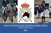 FEDERACIÓN HÍPICA GALLEGA 2020“N PLAN... · 2019-12-27 · • –Participación en el Equipo de España de doma clasica en el concurso Copa de Naciones en Saumur junio 2.007