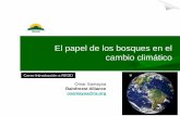 El papel de los bosques en el - forest-trends.org · humana que altera la composición de la atmósfera mundial‟ 5 Curso Introducción a REDD “El calentamiento del sistema climático