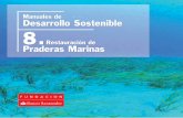 Manuales de Desarrollo Sostenible 8. · 2019-12-12 · 7 Distribución en las Descripción Profundidad máxima Especie costas europeas de la pradera aproximada Zostera Costas atlántica,
