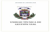 UNIDAD TÉCNICA DE GESTIÓN VIALaserri.go.cr/wp/wp-content/uploads/2019/07/Informe-Labores-UTGV-2018.pdf · INFORME DE LABORES 2018 UNIDAD TÉCNICA DE ... Inventario de la Red Vial