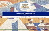 GUIA DE PRÁCTICA CLÍNICA TUBERCULOSIS · 2019-07-15 · disponible -la evidencia-, para aplicarla a la práctica clínica. El Nivel de Evidencia Clínica es un sistema jerarquizado