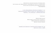 Facultad de Filosofía y Letras - UBA - Los PP y la institucionalidad …filo.uba.ar/contenidos/investigacion/institutos/geo/pert/... · 2015-06-05 · pequeño productor, y los modos