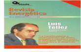 Organización Latinoamericana de Energíabiblioteca.olade.org/opac-tmpl/Documentos/hm000484.pdf · drocarburíferos, que estaban restrin- gidas a empresas estatales, se han ofrecido