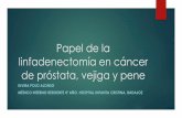 Papel de la linfadenectomía en cáncer de próstata, vejiga ... · u Ganglios inguinales profundos: sobre los vasos femorales en la fosa oval u Segunda línea u Ganglios pélvicos