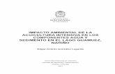 IMPACTO AMBIENTAL DE LA ACUICULTURA INTENSIVA EN LOS ...bdigital.unal.edu.co/56511/1/2017 1085262058.pdf · IMPACTO AMBIENTAL DE LA ACUICULTURA INTENSIVA EN LOS COMPONENTES AGUA Y