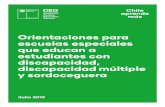 Orientaciones para escuelas especiales que educan …...Presentación Actualmente, en Chile hay 40 mil estudiantes que asisten a cerca de 600 escuelas especiales ubicadas a lo lar-go