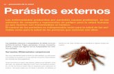 Parásitos externosaxonveterinaria.net/web_axoncomunicacion/... · perﬁcie del animal. Pulgas, garrapatas, moscas, mosquitos, ácaros y piojos son algunos de los ectoparásitos