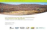 La restauración de ecosistemas terrestres en Méxicored-sam.org/wp-content/uploads/Moises-Toribio-et-al..pdf · La restauración de ecosistemas terrestres en México Estado actual,