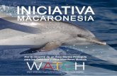 Cetáceos en Canarias, · M.P. Simmonds donde se plantea la sospecha de una posible relación entre maniobras y varamientos atípi-cos1.Durante ese tiempo y posteriormente se siguen